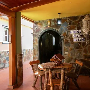 Eveas , Candelaria España